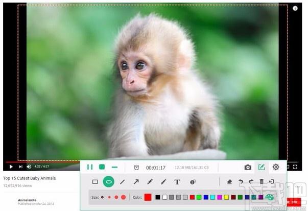 Tipard Screen Capture,屏幕录制工具,屏幕录制